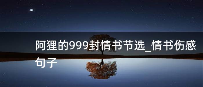 阿狸的999封情书节选_情书伤感句子