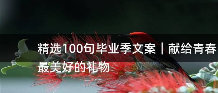 精选100句毕业季文案｜献给青春最美好的礼物