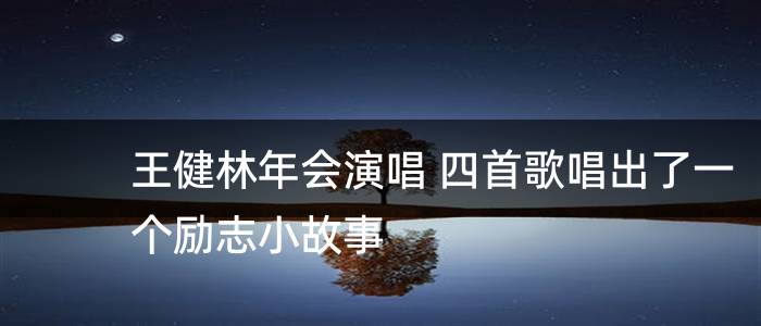 王健林年会演唱 四首歌唱出了一个励志小故事